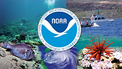 Photo showing a NOAA theme collage.