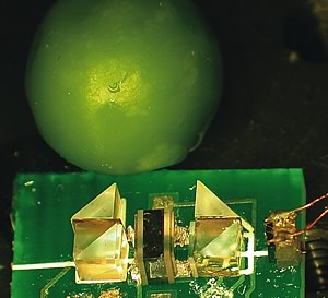 Photo showing the newest chip-scale deviceroughly the size of a pea a spectrometer that can be used for calibrating or stabilizing precision lasers.