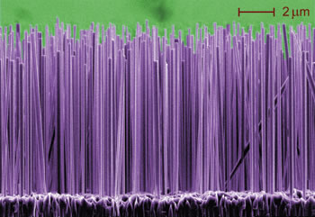 Photo showing 'nanolights' made by NIST researchers which are about a thousand times thinner than a human hair and may have many applications from 'lab on a chip' devices for identifying chemicals to ultraprecise tools for laser surgery.