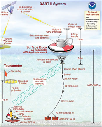 NOAA illustration showing a DART buoy.
